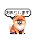 ⚫ポメラニアン［ドット絵］（個別スタンプ：13）