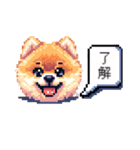 ⚫ポメラニアン［ドット絵］（個別スタンプ：22）