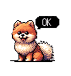 ⚫ポメラニアン［ドット絵］（個別スタンプ：28）