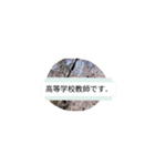 月山酢火約禄寿鉢マロネ早師アツシ杉澤八（個別スタンプ：12）
