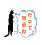 くろーバージョン（個別スタンプ：2）