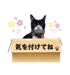くろーバージョン（個別スタンプ：4）
