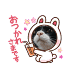 くろーバージョン（個別スタンプ：5）