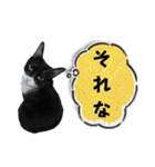 くろーバージョン（個別スタンプ：11）