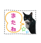 くろーバージョン（個別スタンプ：16）