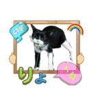 くろーバージョン（個別スタンプ：19）