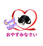 くろーバージョン（個別スタンプ：25）