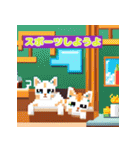 キャットカフェキューティーズ2（個別スタンプ：20）