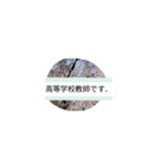 月山酢火約禄寿nanaマロネ早師アツシ杉澤七（個別スタンプ：22）