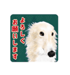 かわいい動物＊似顔絵スタンプ＊猫犬など（個別スタンプ：6）