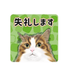 かわいい動物＊似顔絵スタンプ＊猫犬など（個別スタンプ：9）