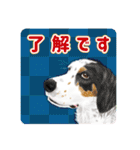 かわいい動物＊似顔絵スタンプ＊猫犬など（個別スタンプ：12）