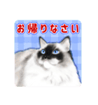 かわいい動物＊似顔絵スタンプ＊猫犬など（個別スタンプ：16）