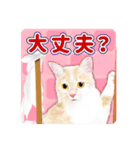 かわいい動物＊似顔絵スタンプ＊猫犬など（個別スタンプ：24）