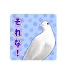 かわいい動物＊似顔絵スタンプ＊猫犬など（個別スタンプ：27）