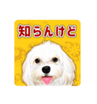 かわいい動物＊似顔絵スタンプ＊猫犬など（個別スタンプ：32）