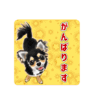 かわいい動物＊似顔絵スタンプ＊猫犬など（個別スタンプ：33）