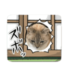 まだまだ あさりちゃん（個別スタンプ：3）