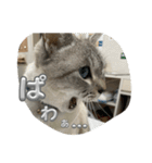 まだまだ あさりちゃん（個別スタンプ：4）