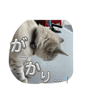 まだまだ あさりちゃん（個別スタンプ：7）