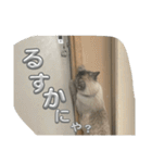 まだまだ あさりちゃん（個別スタンプ：10）