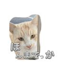 まだまだ あさりちゃん（個別スタンプ：14）