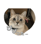 まだまだ あさりちゃん（個別スタンプ：16）
