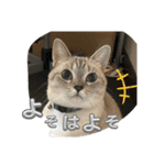 まだまだ あさりちゃん（個別スタンプ：24）