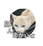 まだまだ あさりちゃん（個別スタンプ：30）