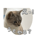 まだまだ あさりちゃん（個別スタンプ：32）