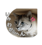 まだまだ あさりちゃん（個別スタンプ：38）