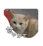 まだまだ あさりちゃん（個別スタンプ：39）