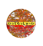 紅葉だらけ〜（個別スタンプ：4）