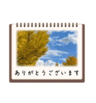 紅葉だらけ〜（個別スタンプ：15）