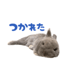 うさぎのはなちゃん【vol.1】（個別スタンプ：11）