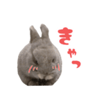 うさぎのはなちゃん【vol.1】（個別スタンプ：39）