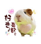 喬可栗的家51 Chocolin♡日本語＆台灣語♡（個別スタンプ：6）