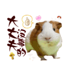 喬可栗的家51 Chocolin♡日本語＆台灣語♡（個別スタンプ：9）