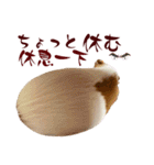 喬可栗的家51 Chocolin♡日本語＆台灣語♡（個別スタンプ：20）