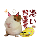 喬可栗的家51 Chocolin♡日本語＆台灣語♡（個別スタンプ：38）
