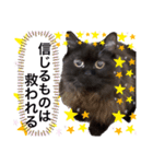 黒猫 ルナ院長125にゃんめ（個別スタンプ：7）