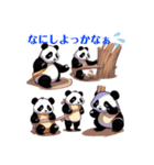 パンダ(panda)（個別スタンプ：8）