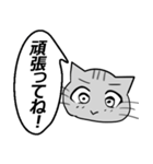 ひと言伝えるふきだしネコ 14（個別スタンプ：5）