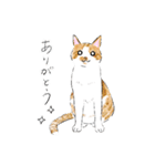 イデタカコの猫スタンプ Vol.2（個別スタンプ：2）