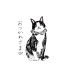 イデタカコの猫スタンプ Vol.2（個別スタンプ：12）