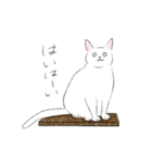 イデタカコの猫スタンプ Vol.2（個別スタンプ：24）