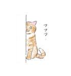 イデタカコの猫スタンプ Vol.2（個別スタンプ：31）