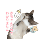 うずめの毎日（個別スタンプ：5）