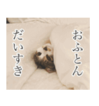 うずめの毎日（個別スタンプ：13）
