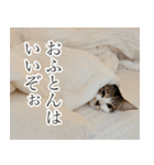 うずめの毎日（個別スタンプ：14）